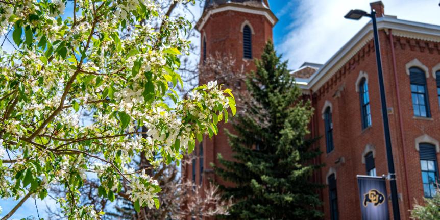 spring on campus